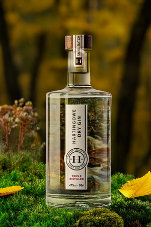 Berster Gin aus dem Harz International prämierter Gin
